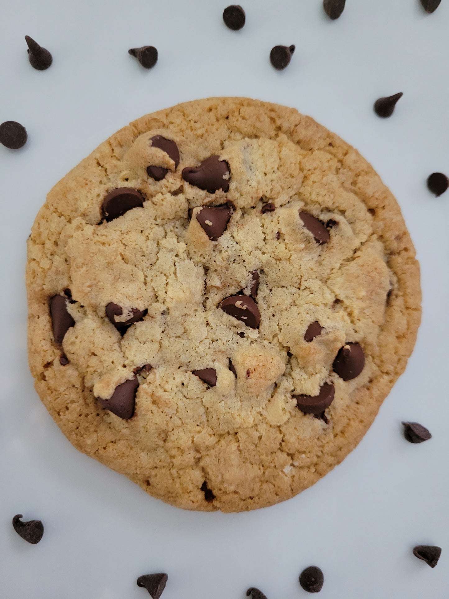 1 Dozen Chocolate Chip Cookies